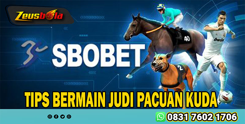 TIPS BERMAIN JUDI PACUAN KUDA 