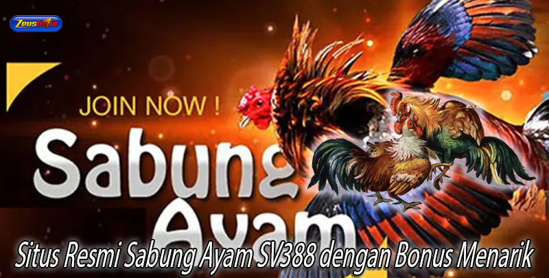 Situs Resmi Sabung Ayam SV388 dengan Bonus Menarik