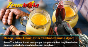 resep jamu alami untuk tambah stamina ayam bangkok